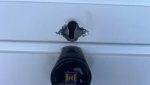 Close-up of a snapped euro cylinder door lock following a break-in at a garage in Musselburgh, East Lothian, showing clear signs of lock snapping damage